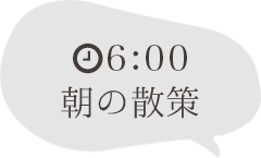 6:00朝の散策