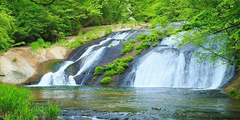 女性限定の選べる色浴衣