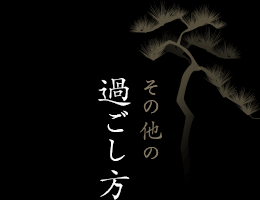 その他の過ごし方