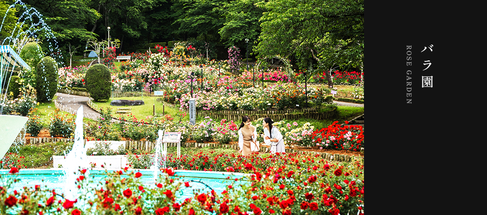 バラ園